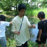 ブログ画像