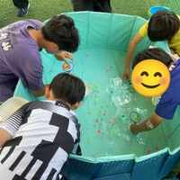ブログ画像