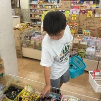 ブログ画像